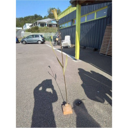 LAMPADAIRE METAL