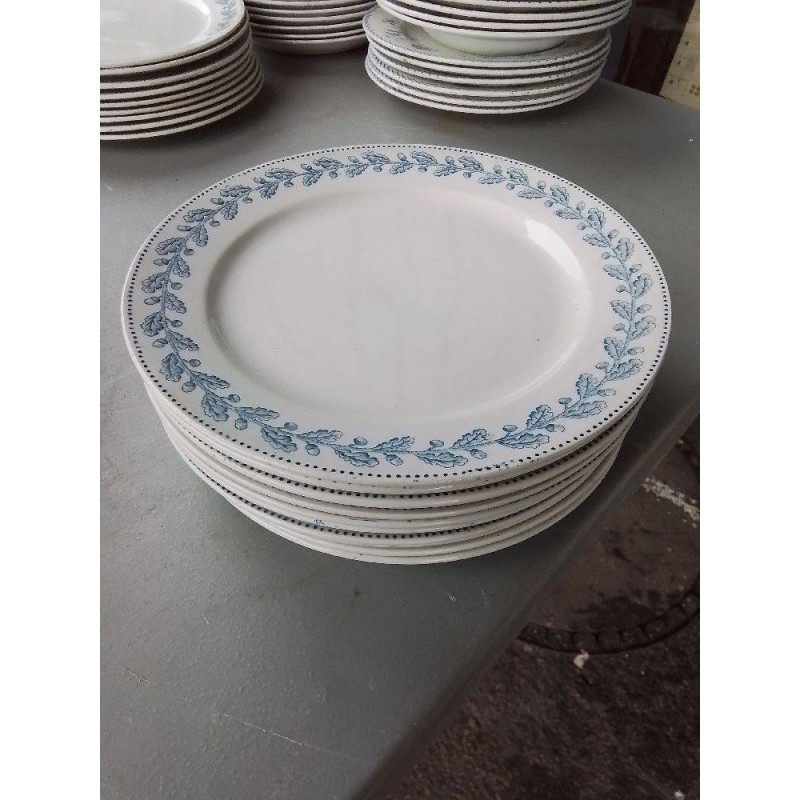 10 ASSIETTES LE CHENE