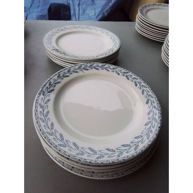 6 ASSIETTES EPI DE BLE