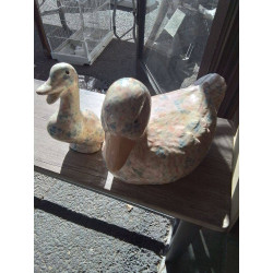 DUO DE CANARDS ANGLAIS